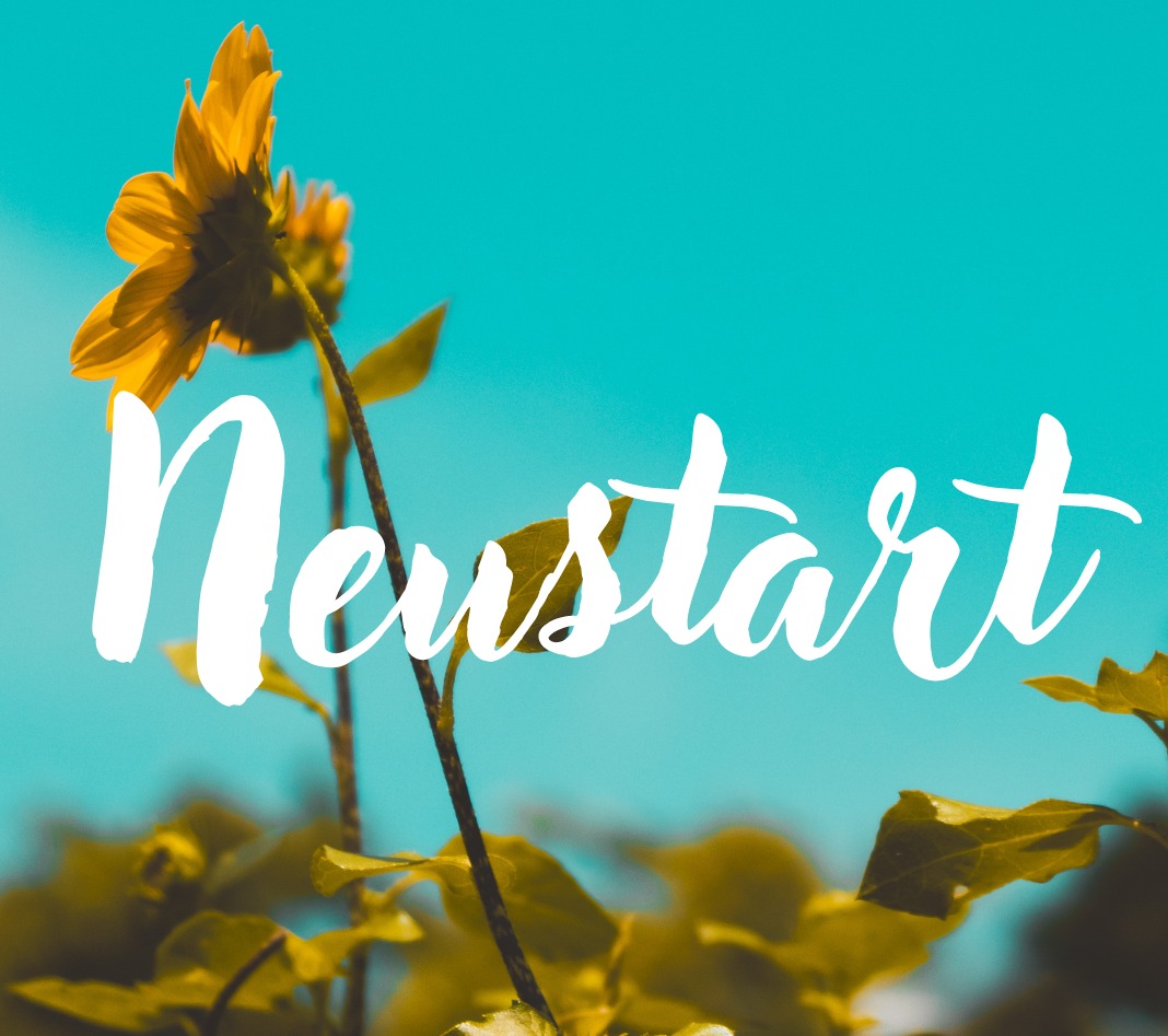 Wir starten neu bei Instagram
