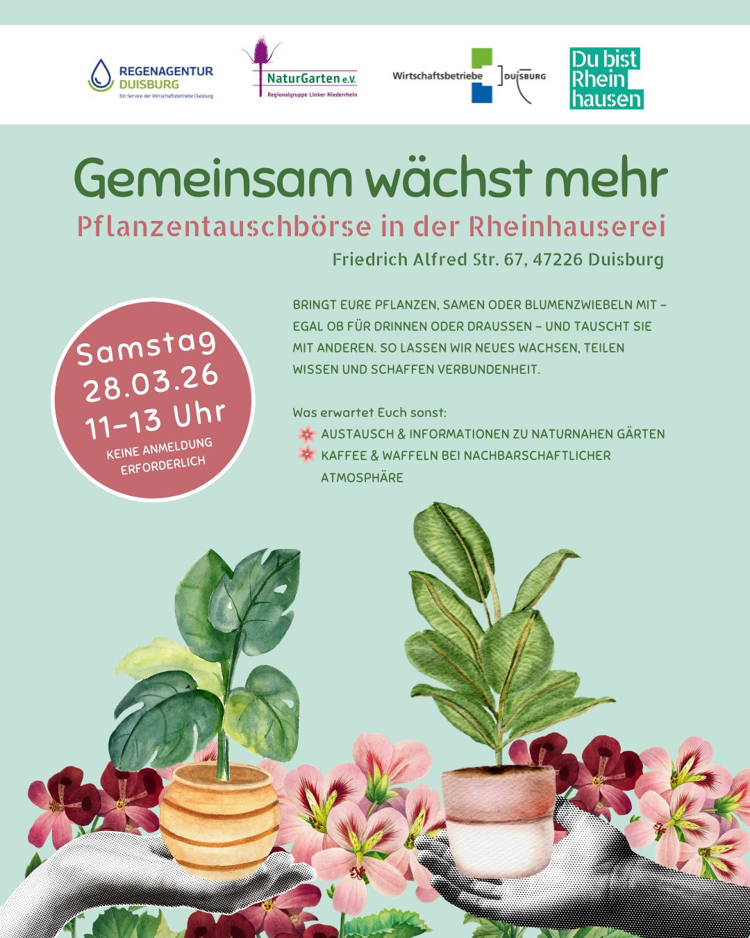 Pflanzentauschbörse Klappe die Zweite: