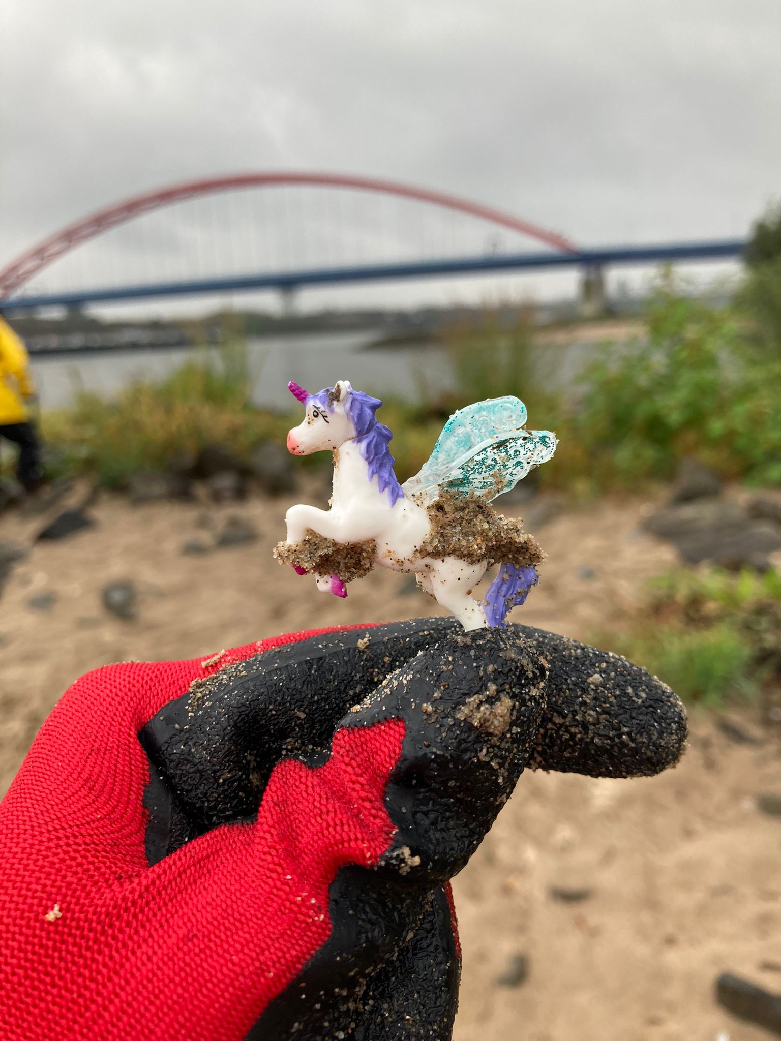 Rhine Clean Up 2022